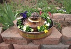 Raintree with Planter - Dressed