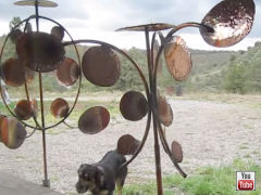 Wind Sculptures