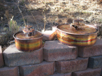 Large Bird Bath