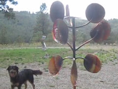 Wind Sculptures